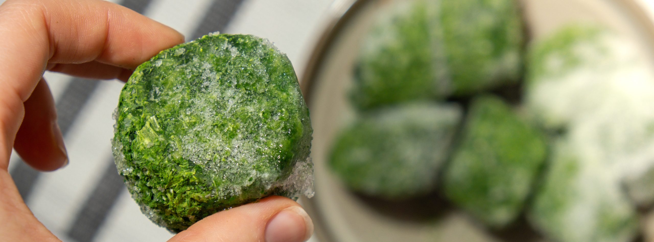 Unrecognizable woman showing into camera frozen food spinach cubes homemade. Harvesting concept. Stocking up vegetables for winter storage Healthy food, Cooking ingredients